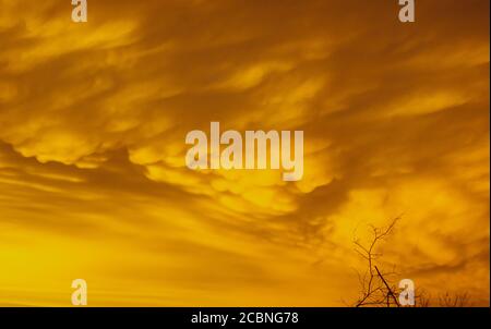 Mammatus Clouds, Apocalyptic sky in Mexico Stock Photo