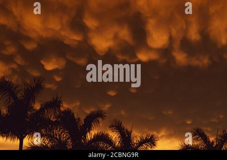Mammatus Clouds, Apocalyptic sky in Mexico Stock Photo