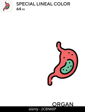Organ Special lineal color vector icon. Organ icons for your business project Stock Vector