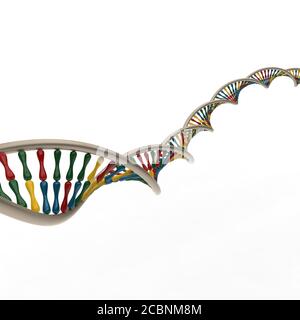 Colored metallic digital representation of DNA double helix spiral molecular chain structure on white background for symbolic and educational use Stock Photo