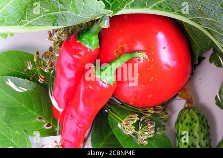 tomato, red peppers, dill seeds and cherry and horseradish leaves in water close-up. Stock Photo