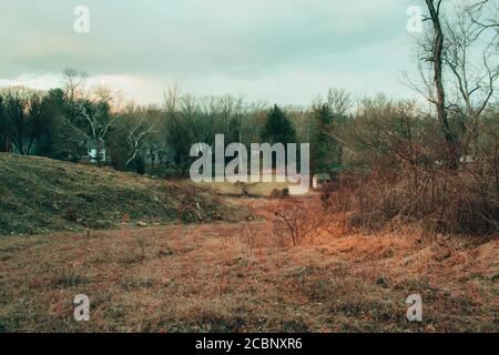 Looking Down a Hill Covered in Dead Grass on a Cloudy Autumn Day Stock Photo