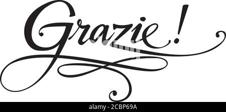 Custom calligraphy text Stock Vector