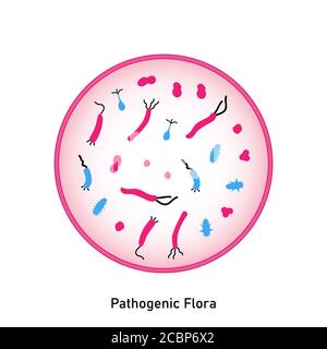 Bacterial microorganism in a circle. Pathogenic flora of the skin and mucous membranes. Flat style. Germs, primitive organisms. Disruption of normal f Stock Photo