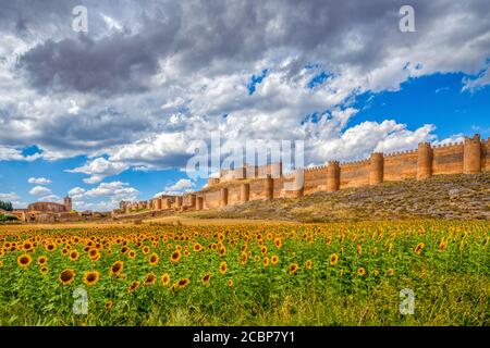 Castle of Berlanga de Duero, province of Soria, Spain Stock Photo