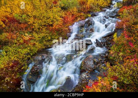 Small mountain stream with colourful vegetation in autumn, Ruska Aika, Indian Summer, Indian Summer, Indian Summer, Tessand, Innlandet, Norway Stock Photo