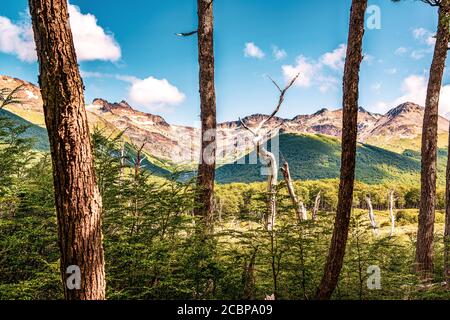 Ushuaia, end of the world, beginning of everything Stock Photo