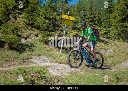 Mountain biker rides eMTB on single trail in the mountain forest, Rofangebirge, Steinberg am Rofan, Tyrol, Austria Stock Photo