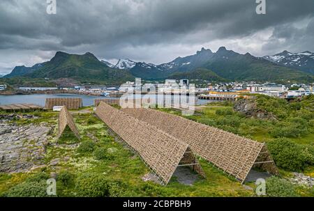 Thousands and thousands of stockfish Fish heads on wooden drying racks, in the back fishing industry, sea and mountains, cod, codfish, skrei Stock Photo