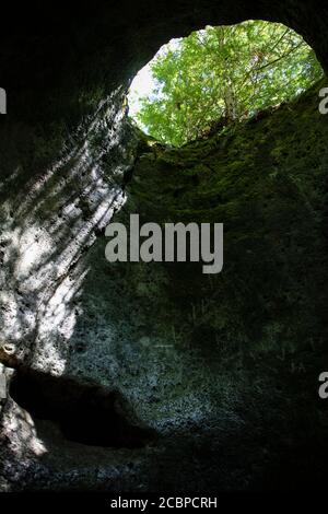 Pot hole dolomite rock formation on Bruce Trail in Tobermory ontario Stock Photo