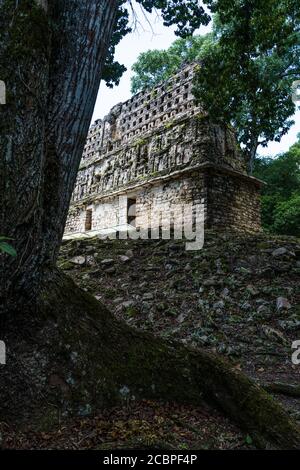 Temple 33 in Yaxchilan Archeological site in Chiapas, Mexico Stock ...