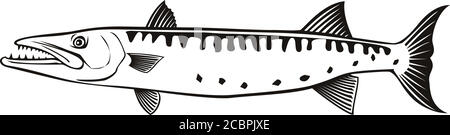 Retro style illustration of a barracuda or Sphyraena barracuda, a large predatory saltwater ray-finned fish of the genus Sphyraenapredatory, swimming Stock Vector