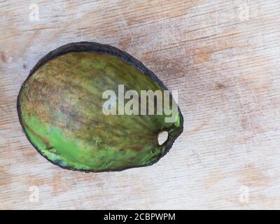 Top view on avocado Hass  rind without pulp lying on a wooden surface Stock Photo