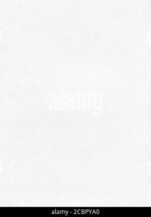 White watercolor paper with texture. Vertical background for painting. Empty white page, textured. Stock Photo