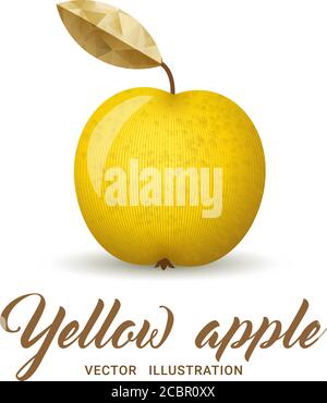 Realistic yellow apple, isolated on white - vector illustration. Big yellow apple with bright golden leaf. Stock Vector