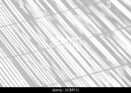 Shadow overlay effect for photo. Shadows from blinds, a window and a thin screen on a clean white wall in a sunny bright weather. Stock Photo
