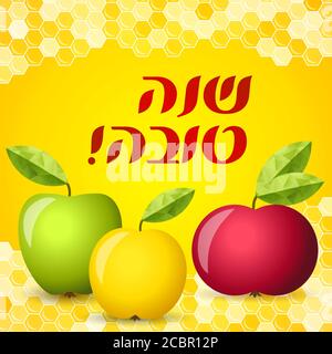 Green apple and honey, Rosh hashana greeting card - Jewish New Year. Greeting text Shana tova on Hebrew - Have a good sweet year. Green apple with lea Stock Vector
