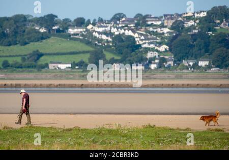 Grange-over-Sands, Cumbria, UK. 15th Aug, 2020. Dog walking on a fine summer morning at Grange-over-Sands, Cumbria, UK. Credit: John Eveson/Alamy Live News Stock Photo