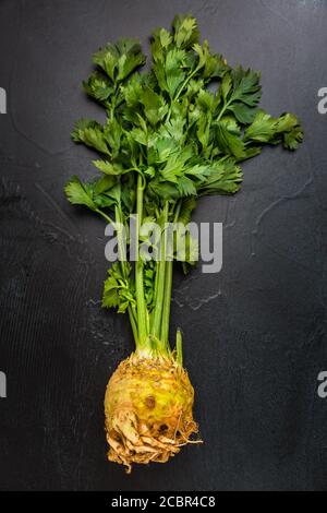 Root celery with green stems, on dark background. Top view. Stock Photo