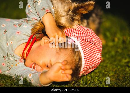 Portrait of a beautiful little 2 years old girl lying on grass and laughing with york terrier. Stock Photo