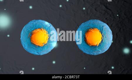 Abstract illustration of the biological cell division Stock Photo - Alamy