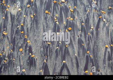 Patterns on a sandy beach from pebbles Stock Photo