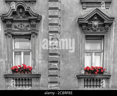 Window box flower arrangement b&w red flowers Zagreb Croatia Stock Photo