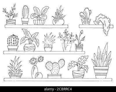 Plant pot isolated black and white Stock Vector Image & Art - Alamy