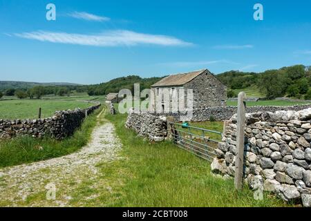 UK landscape: Looking back at Grassington Woods from a limestone walled track with lots of old stone barns in farming pastures on a hot summer's day, Stock Photo