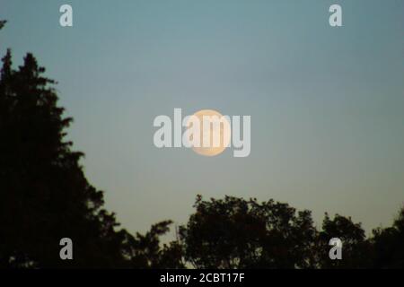 Full Moon During Dusk Daylight over Ozarks Arkansas Stock Photo
