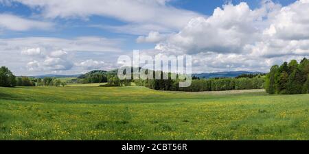 Panoramic spring landscape with green meadows, woods and mountains. Scenic panorama with flowering dandelions on grassland and trees under blue sky. Stock Photo