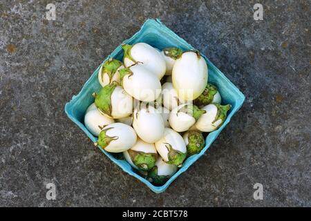 Container of white baby eggplants Stock Photo