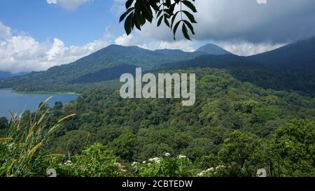 Lake view with dense forest in the mountains Stock Photo