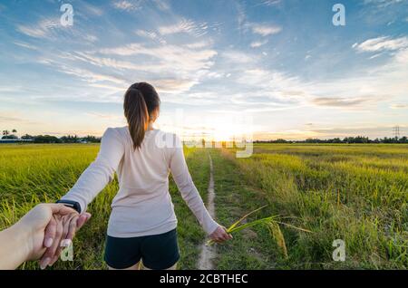 Rice field, Agriculture, paddy, with sunrise or sunset, and flare over the sun, in morning light, Panorama Stock Photo