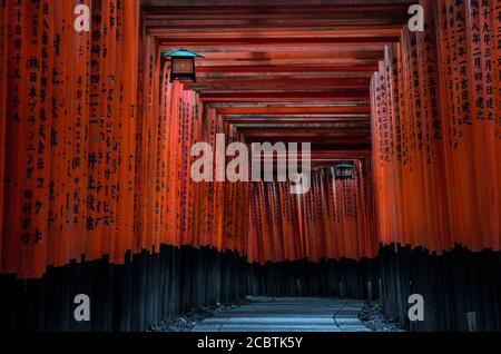 Torii gates in Fushimi Inari Shrine in Kyoto, Japan. The highlight of the shrine is the rows of torii gates, known as Senbon Torii. . Stock Photo