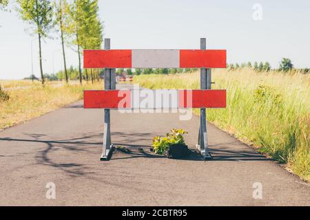 No passing zone sign on sidewalk or bicycle lane, damaged road because of plant growing through asphalt. Sint-Oedenrode, Netherlands Stock Photo