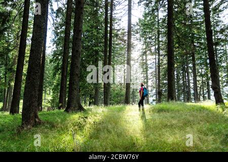 Woman with a backpack walking in forest Stock Photo