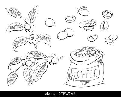 Coffee set graphic black white isolated sketch illustration vector Stock Vector