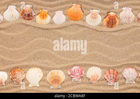 Two rows of seashells lying on the sand. Beautiful frame made of seashells with place for text. Top view Stock Photo