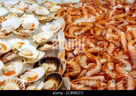 Mediterranean scallop and shrimps for sale at a market in Venice, Italy Stock Photo