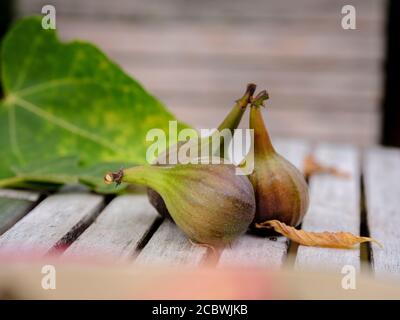 Home-grown figs on a table in a country garden in south-east UK, August Stock Photo