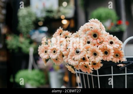 Floral design studio. Beige daisies in basket in store Stock Photo