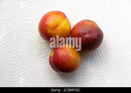 Three ripe nectarines on a white background. Stock Photo