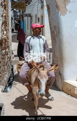 Man riding a donkey on the narrow street of Lamu town in Lamu Island, Kenya. Stock Photo