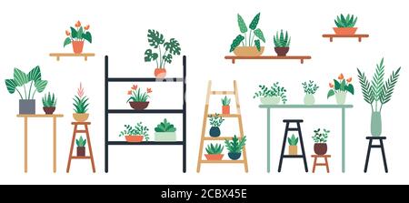 Houseplants standing on shelf, chair and table in ceramic pots. Home and office interior decor with foliage Stock Vector