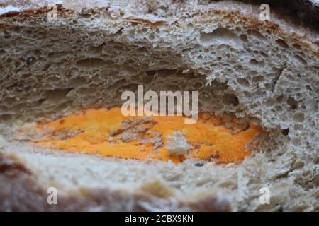 There is a lot of orange mold growing on a chunk of bread. Disgusting. Stock Photo