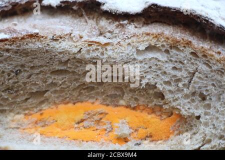 There is a lot of orange mold growing on a chunk of bread. Disgusting. Stock Photo