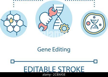 Gene editing concept icon. Biohacking, bioengineering idea thin line illustration. Genome improvement, DNA structure modification. Vector isolated out Stock Vector