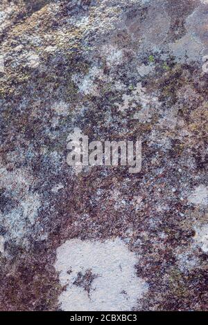 High resolution texture of a big stone full of lichens outdoors Stock Photo