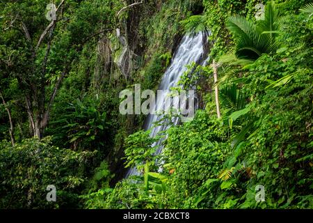 La Coca Waterfalls, El Yunque National Forest, Luquillo, Puerto Rico Stock Photo